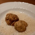 Bistro Gorilla - 白トリフ