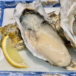 魚卯 - 厚岸の生牡蠣