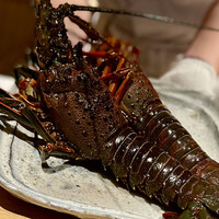 日本料理FUJI - 〆られた大きな伊勢海老。見るからに新鮮で涎もの。(*^^*)