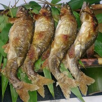 奥貴船 兵衛 - 
