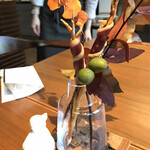 セララバアド - 