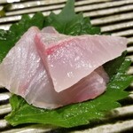鮨匠 のむら - ⑥汐っ子(勘八の若魚)(鹿児島県開聞岳沖産、1.6kg、1日寝かせ)
      産卵期は春～夏、旬は秋～冬
      若さ故の爽やかな甘さが鮮烈
      勘八は2m80kgまで成長するが、青物は爽やかな香りを楽しむため幼魚メイン