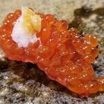 鮨匠 のむら - ㉕筋子(北海道産、30秒オリジナル醤油漬け)
      接岸する前の沖合い白鮭の筋子、旬の走り
      海のTKG、筋子はのむら特製出汁醤油に30秒潜らせてあります
      プリプリで鮮度が良く、味わいも濃い！