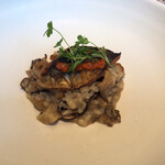 セララバアド - 