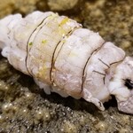 鮨匠 のむら - ㉑蝦蛄(鹿児島県出水産)(茹で立て)
      先程まで生きていた茹で立てならではの
      甘み、海老と蟹の間のようなやや濃いめの旨み、シャリが合わさり酢の酸味が存在することでスッと円やかな印象に変わります