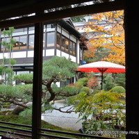 芹生 - 