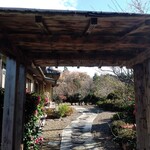 陽なたぼっこ - 玄関まで庭を通り抜けます。