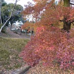 さかなどころ ともさき - 