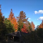 さかなどころ ともさき - 