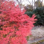 さかなどころ ともさき - 