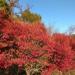 さかなどころ ともさき - 