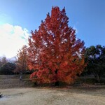 さかなどころ ともさき - 