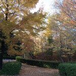 さかなどころ ともさき - 