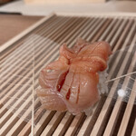 池袋 寿司 まつもと - 