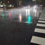 ふじ - これだよ！