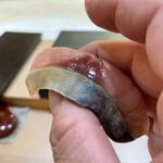 兄弟寿し - 新潟産生鯖冷凍1日