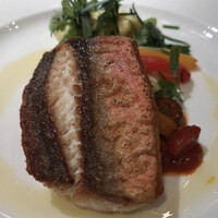 フィオレンティーナ - 