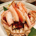 Kabuna - 香箱蟹