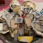 Oyster Bar ジャックポット - 