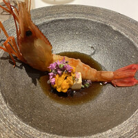 TOMONO - 