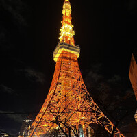 タワシタ - 