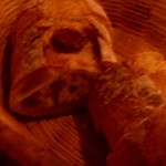 アヒルストア - パン