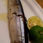 アヒルストア - サンマのコンフィ
      