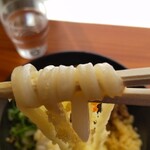 うどん食べ会館 - つやつやの美人うどん