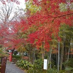 禅風亭なゝ番 - ふろく  竹林の小径