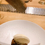 NeMo - ビッグシナモンを削る