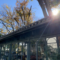 リストランテASO - 