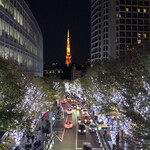 163436160 - 六本木ヒルズからの東京タワー