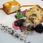 オステリア チロ - リコッタチーズとレーズンチョコレートのピパセネールと濃厚パンナコッタ