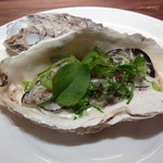 Fujiya 1935 - 2012年12月坂越産牡蠣