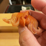 鮨駒 - 青森の赤貝