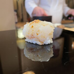 登喜和鮨 - 佐渡産のアオリイカ