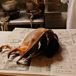 吉い - 羽根つきの捌く前の鴨