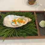 Installation Table ENSO L'asymetrie du calme - 牡蠣