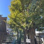 リストランティーノ ルベロ - 