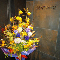 sentiamo - 