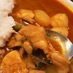 gopのアナグラ - 煮込まれたチキンがとても美味しい！