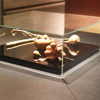 カンテサンス - 