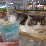 Moff animal cafe - 