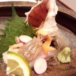 郷土味 かけはし - シャコ、太刀魚のおつくり