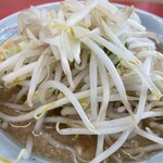 ラーメン もっけだの - ラーメン普通ニンニクマシマシヤサイマシのヤサイ