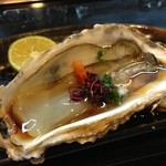 魚河岸寿司 - 生牡蠣だって出てきます！