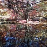 武田そば 風林茶家 - 雲場池付近 水面が青く紅葉との景色が幻想的