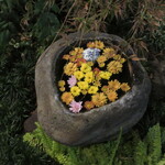 日本料理 TOBIUME - 別の月