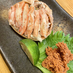 酒肴 こだるま - 