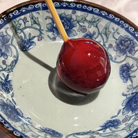 中国意境菜 白燕 - 